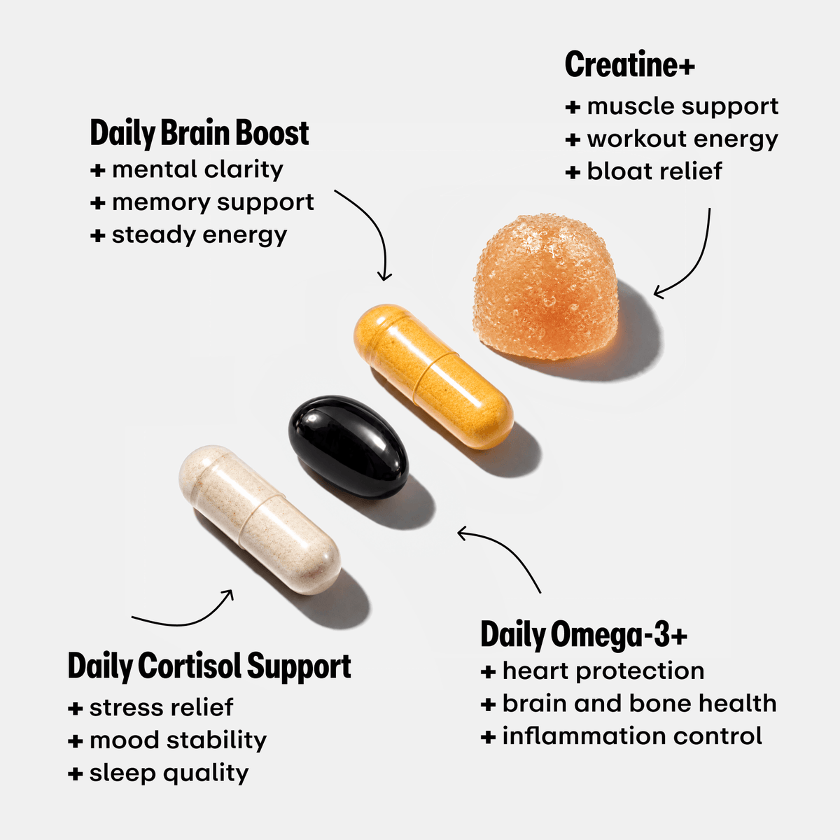 The Brain Fog Bundle
