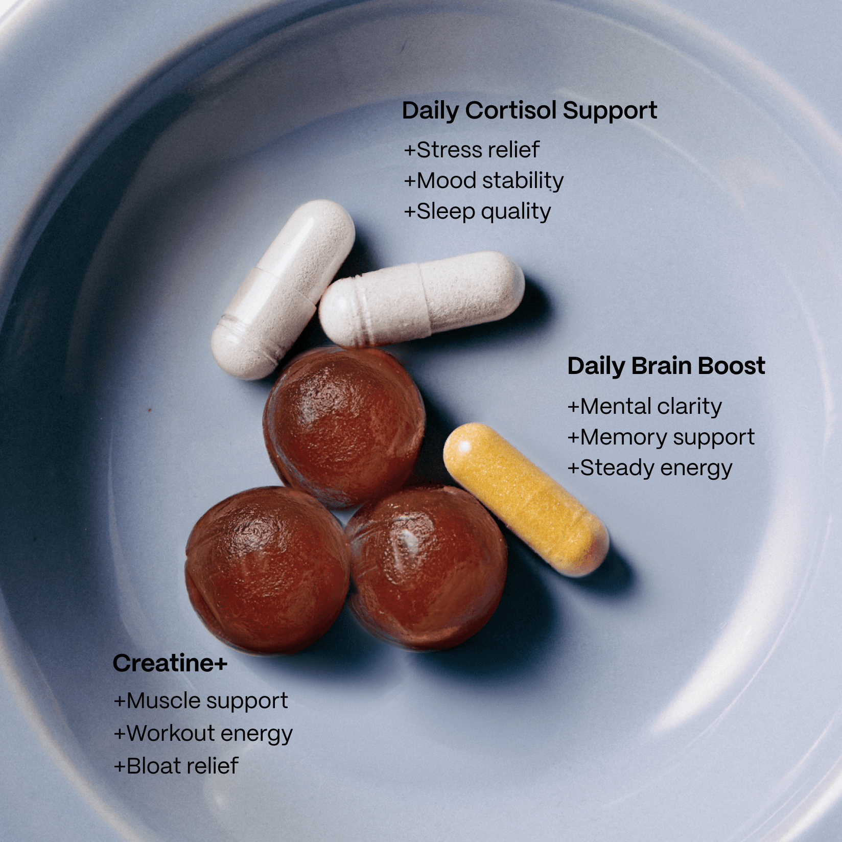 Cognitive Clarity Bundle