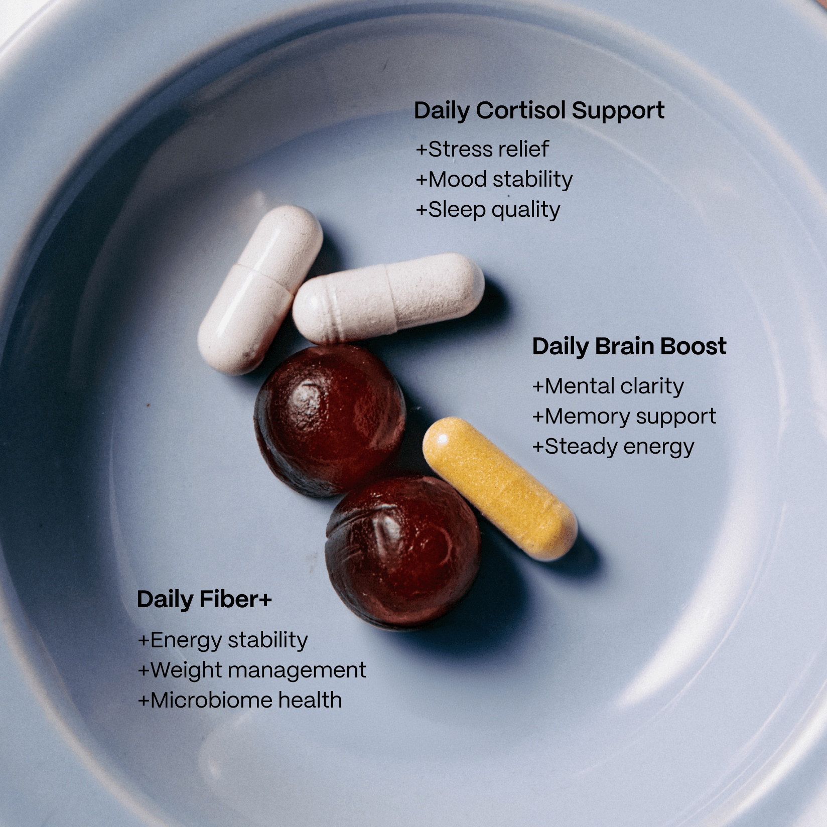 Holiday Survival Kit