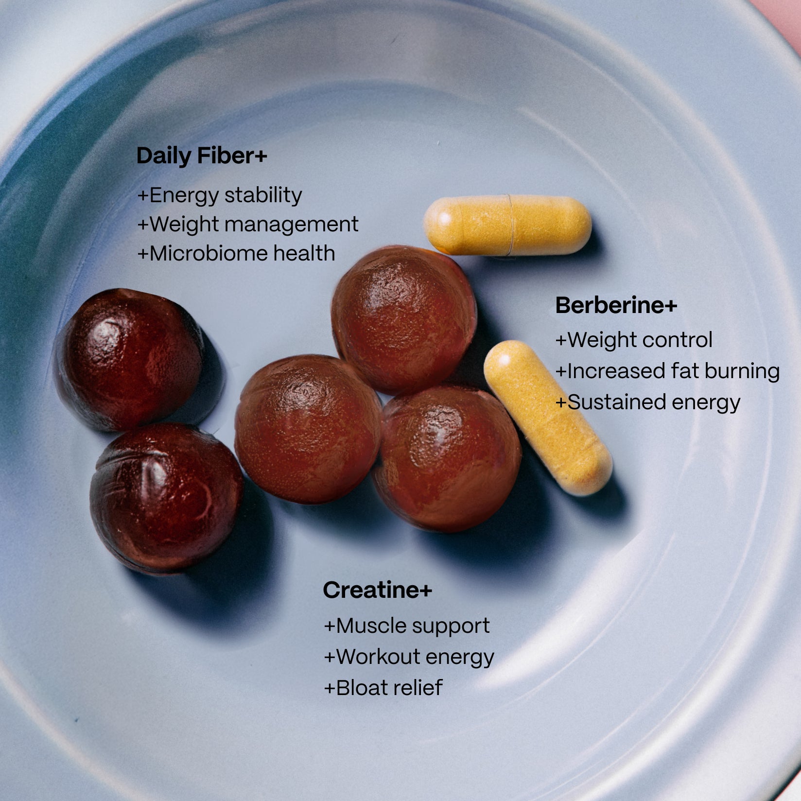The Metabolic Balance Bundle