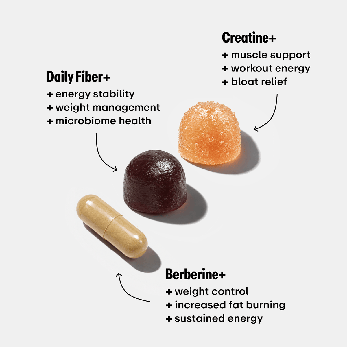 The Metabolic Balance Bundle
